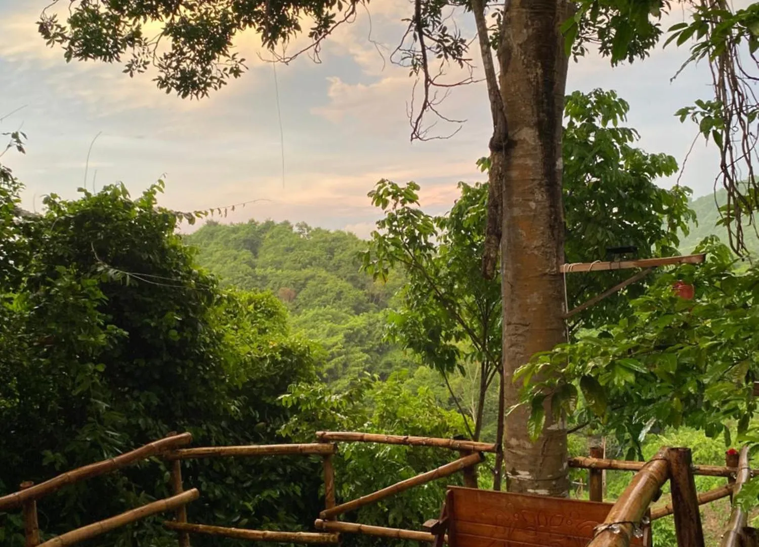 Hotel Dacnis Tayrona Glamping Santa Marta  Santa Marta (Magdalena)