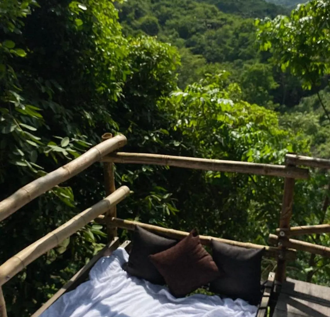 Hotel Dacnis Tayrona Glamping Santa Marta  0*, Santa Marta (Magdalena)